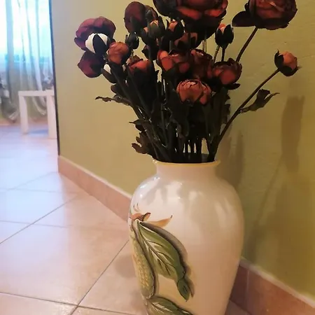 Oliva *