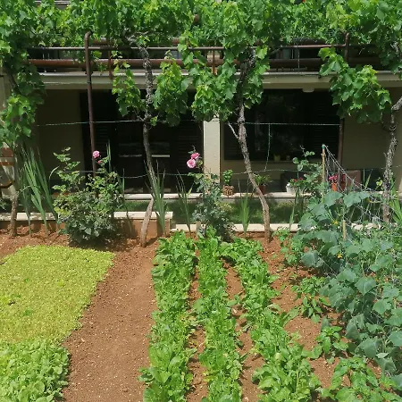 Apartment Oliva *