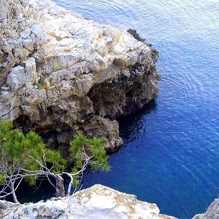 Oliva Pula