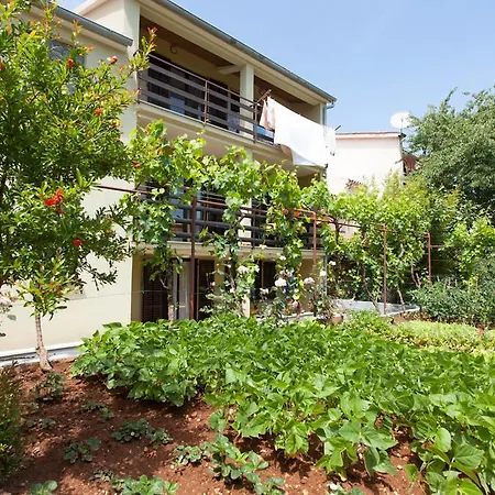 Apartment Oliva