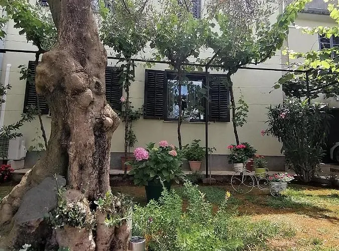 Διαμέρισμα Oliva *