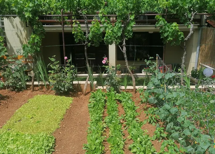 Διαμέρισμα Oliva *