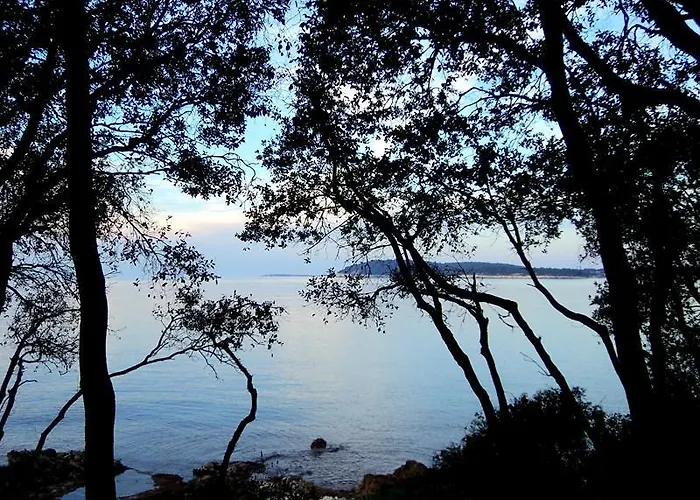 Διαμέρισμα Oliva *