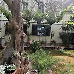 Apartment Oliva *