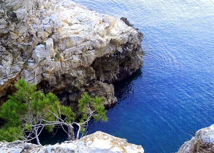 Oliva Pola